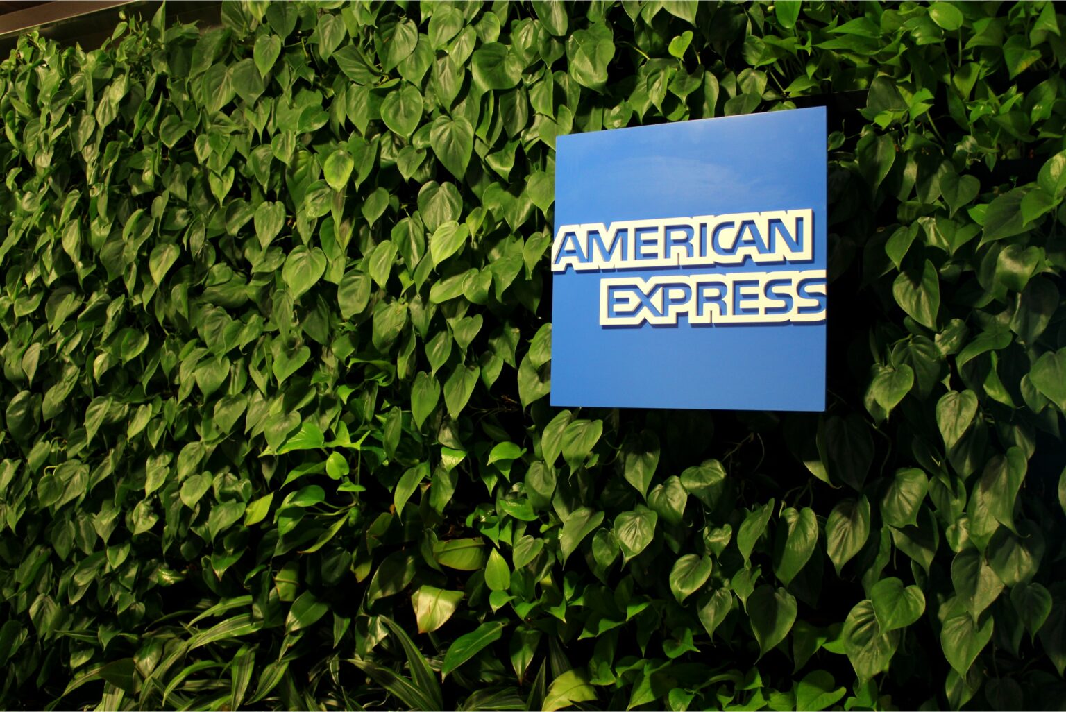 american-express-credit-card-hotel-promotions-synergyy