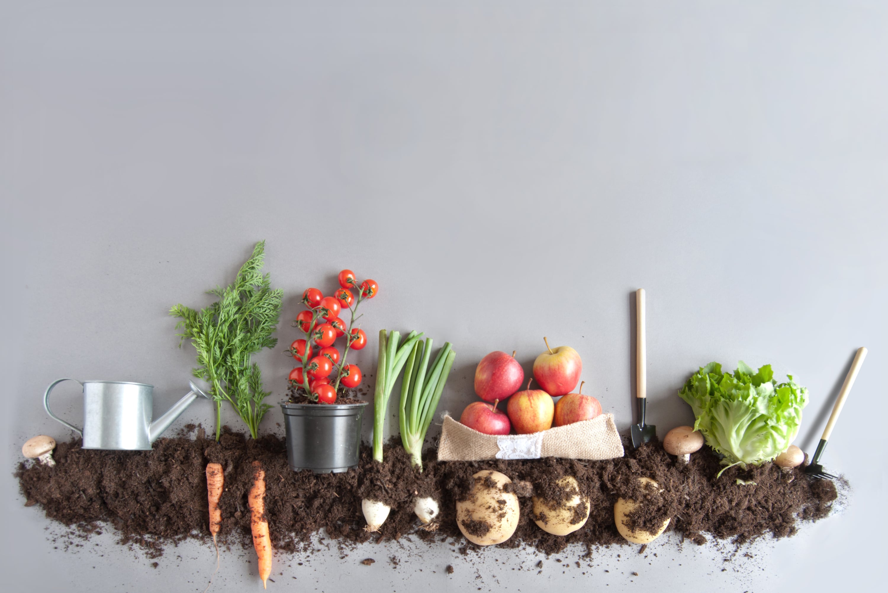 How to compost at home: Rich soil for gardening